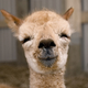 Happy Hump Day!